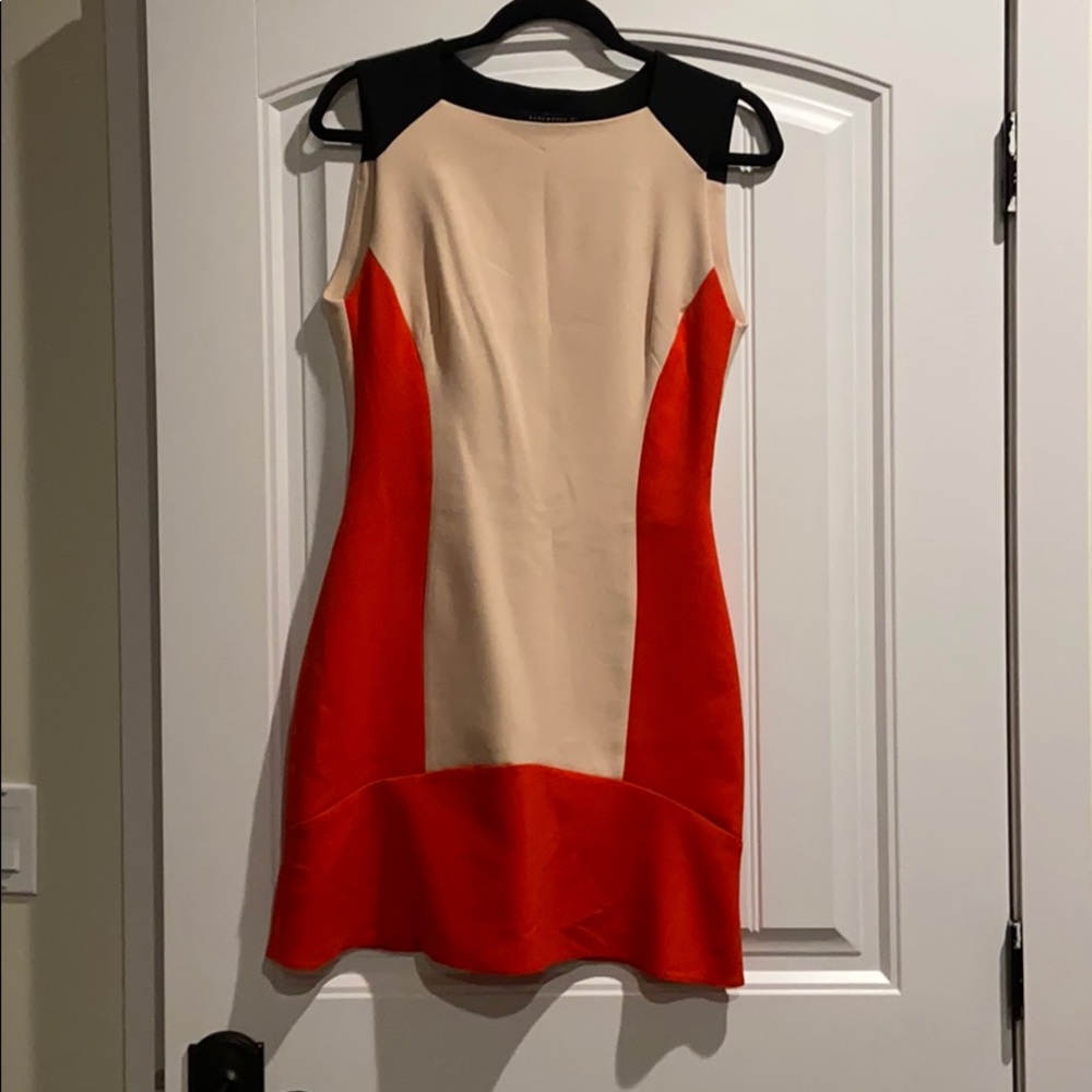 Zara two tone dress